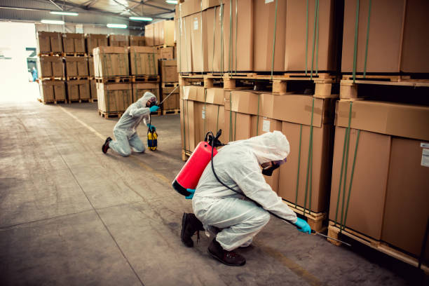 Best Wildlife Control Services  in Woonsocket, RI
