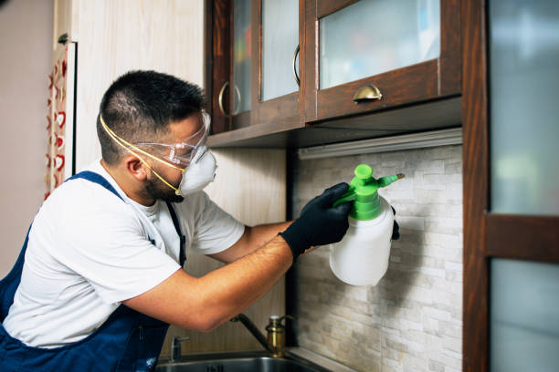 Wildlife Control Services in Woonsocket, RI