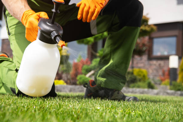 Trusted Woonsocket, RI Pest Control Experts