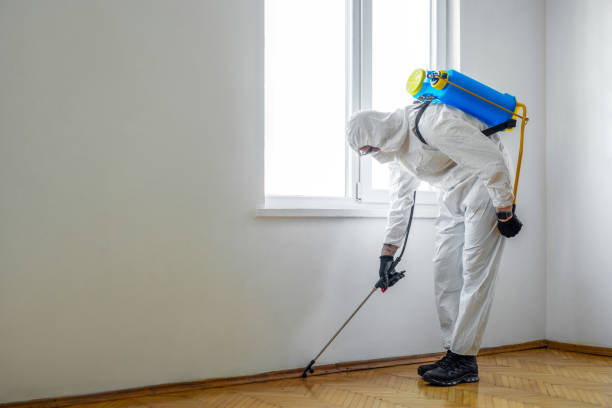 Best Wildlife Control Services  in Woonsocket, RI