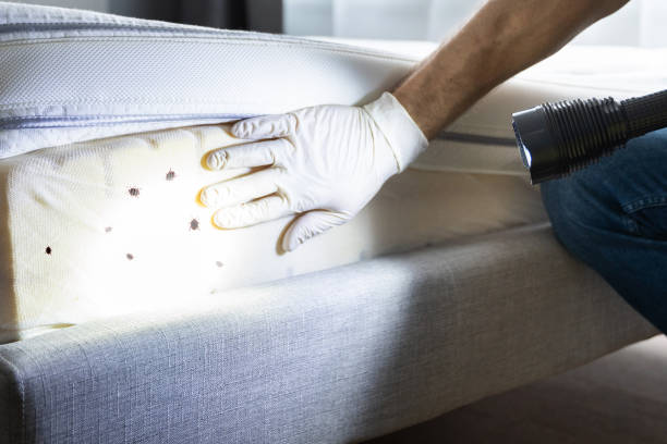 Best Pest Inspection Near Me  in Woonsocket, RI