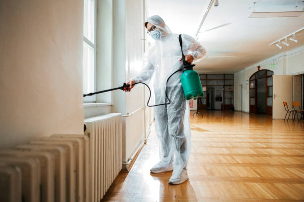 Best Insect Control  in Woonsocket, RI